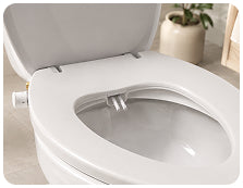 The Throne
